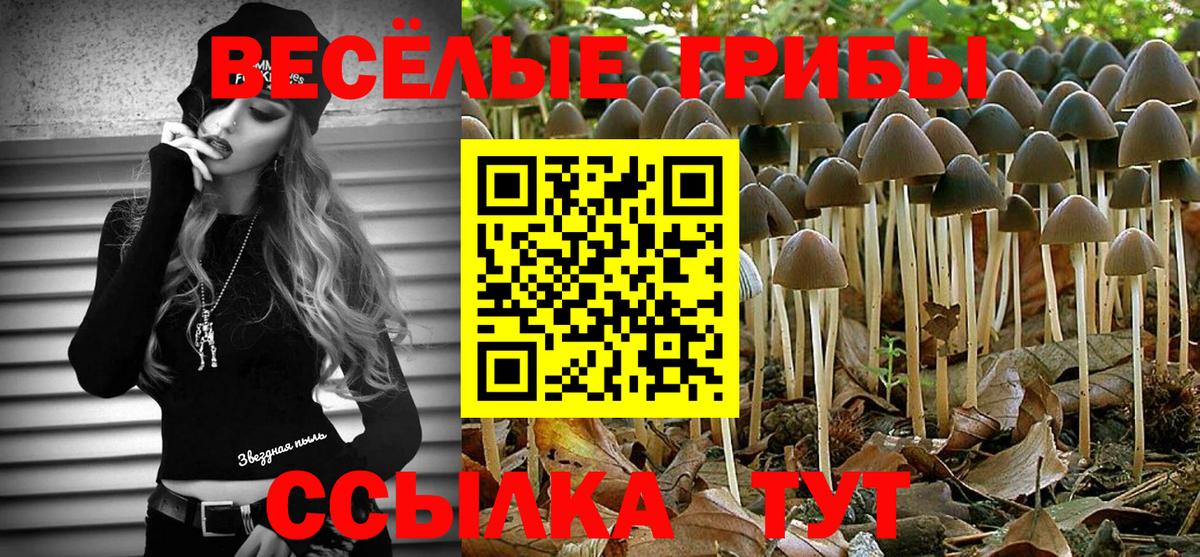 Псилоцибиновые грибы Magic Shrooms  Вход с VPN  Каменск-Уральский  Галлюциногенные грибы мицелий 