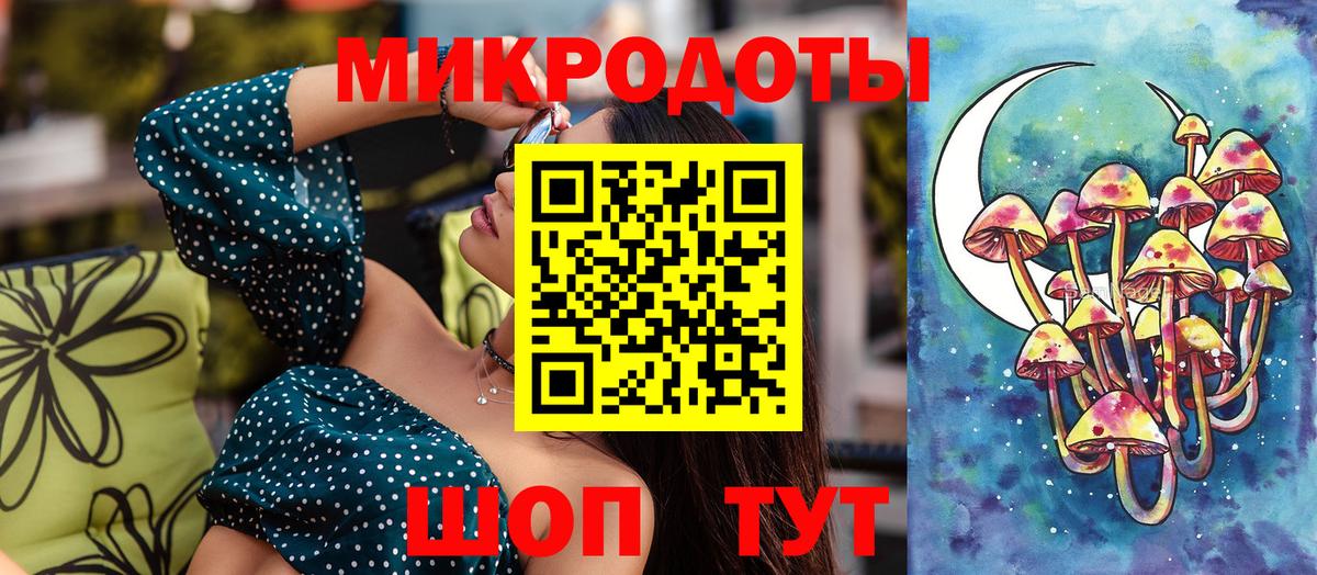Галлюциногенные грибы Psilocybine cubensis Каменск-Уральский
